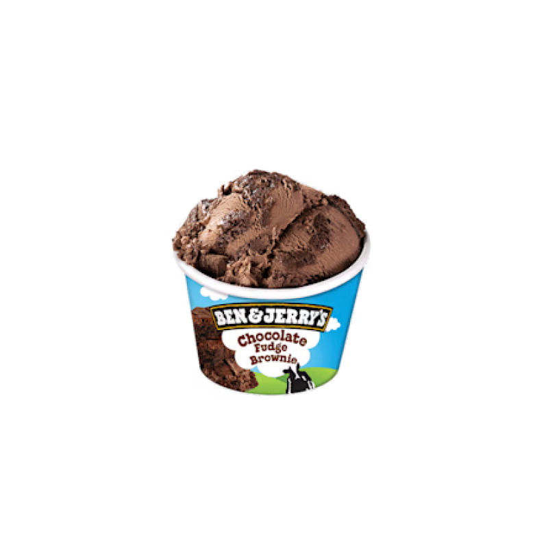 Ben &#038; Jerry&#8217;s Chocolate Fudge Brownie 100 ml